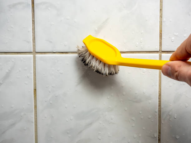 Best Mold Cleaning Services  in Chisholm, MN