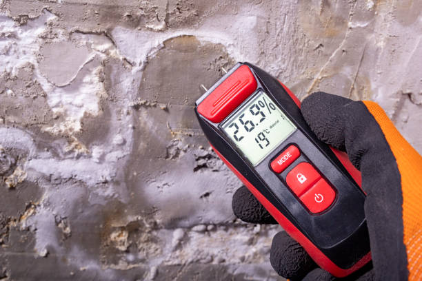 Professional Mold Removal in Chisholm, MN