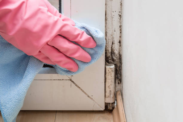 Water Damage Restoration in Chisholm, MN